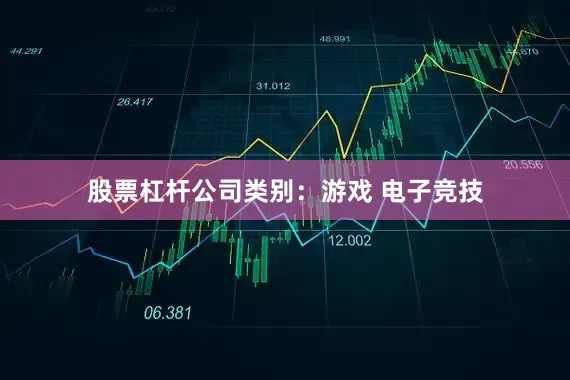 股票杠杆公司类别：游戏 电子竞技