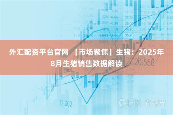 外汇配资平台官网 【市场聚焦】生猪：2025年8月生猪销售数据解读