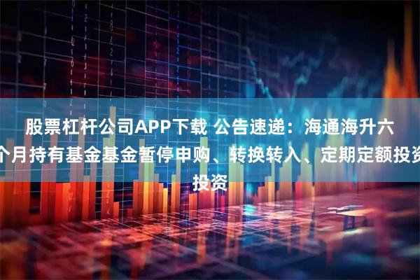 股票杠杆公司APP下载 公告速递：海通海升六个月持有基金基金暂停申购、转换转入、定期定额投资