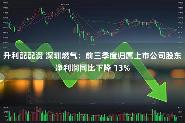 升利配配资 深圳燃气：前三季度归属上市公司股东净利润同比下降 13%