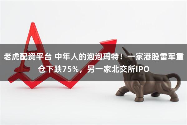 老虎配资平台 中年人的泡泡玛特！一家港股雷军重仓下跌75%，另一家北交所IPO