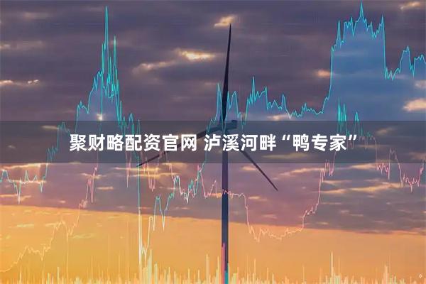 聚财略配资官网 泸溪河畔“鸭专家”